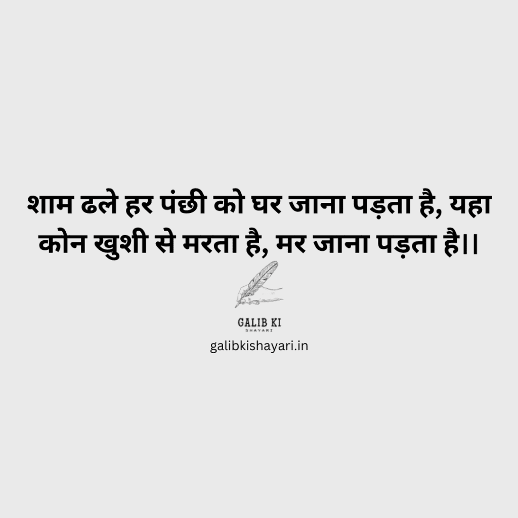 ishq shayari in hindi | galib ki shayari |