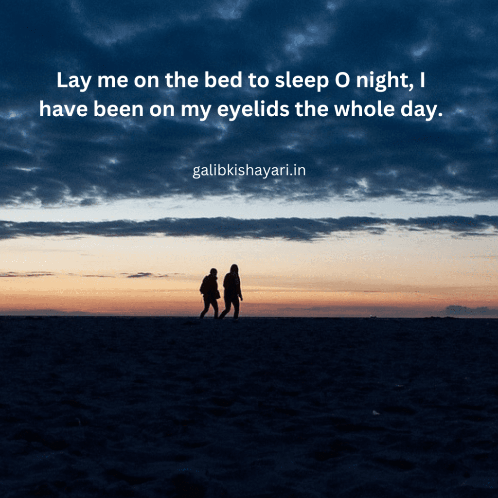 30 english shayri | very deep lines |